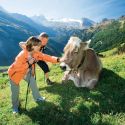 Naturpark Zillertal